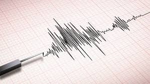 Gempa Magnitudo 3,9 Guncang Wilayah Ternate, Maluku Utara