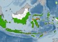 Indonesia Alami Peralihan Musim, Suhu Udara Mulai Meningkat