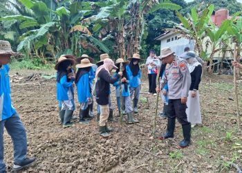 Polres Tabalong dan SMKN 1 Banua Lawas Kolaborasi Menugal Jagung untuk Ketahanan Pangan