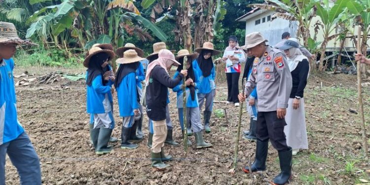 Polres Tabalong dan SMKN 1 Banua Lawas Kolaborasi Menugal Jagung untuk Ketahanan Pangan