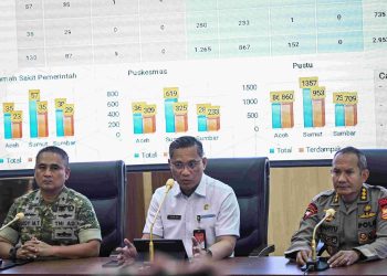 Pemerintah Alokasikan Rp 877 Miliar untuk Rehabilitasi Sawah di Sumatra