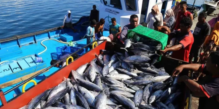 Pentingnya Pengawasan Perlindungan Hukum bagi Awak Kapal Perikanan Pasca Ratifikasi ILO 188
