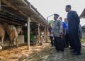 Pemkab Sleman Pastikan Ketersediaan dan Kesehatan Hewan Kurban Menjelang Iduladha