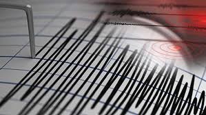 Gempa Magnitudo 3.2 Guncang Bireuen, Aceh