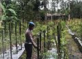 Polri Dampingi Ketahanan Pangan dengan Memantau Lahan Cabai di Desa Lunjuk