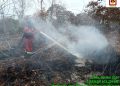 Pemadaman Kebakaran Hutan di Pelalawan Terus Berlanjut