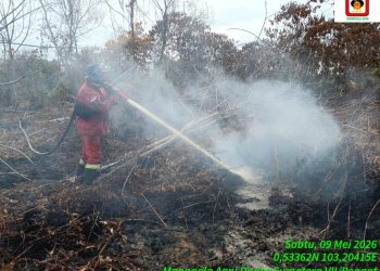 Pemadaman Kebakaran Hutan di Pelalawan Terus Berlanjut