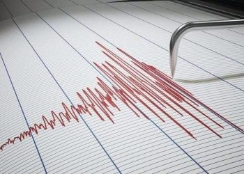 Gempa Magnitudo 4,2 Mengguncang Jayapura, Papua