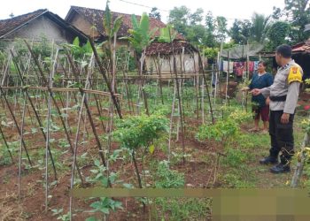 Polri Tingkatkan Dukungan Ketahanan Pangan Lewat Program P2B