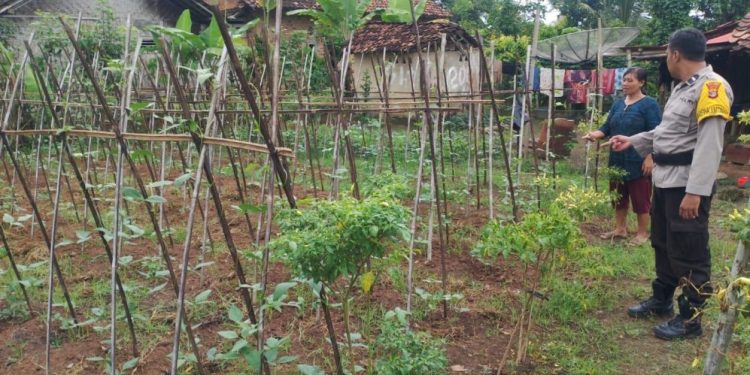 Polri Tingkatkan Dukungan Ketahanan Pangan Lewat Program P2B