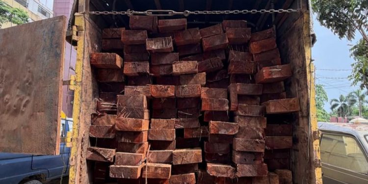 Polda Riau Ungkap Pembalakan Liar di Kawasan Konservasi