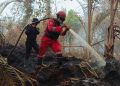 Pemadaman Kebakaran Hutan di Kuala Kampar Berhasil Diselesaikan