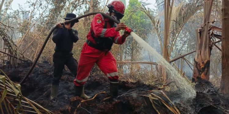 Pemadaman Kebakaran Hutan di Kuala Kampar Berhasil Diselesaikan