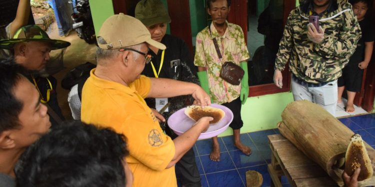 Madu Semakin Populer, Tantangan Literasi Identifikasi Madu Palsu Masih Tinggi