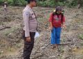 Bhabinkamtibmas Pantau Perawatan Jagung di Lahan PT RAPP untuk Ketahanan Pangan