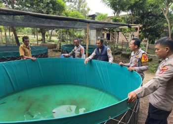 Polres Pesawaran Tinjau Program Ketahanan Pangan di Desa Sungai Langka