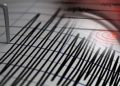 Gempa Magnitudo 4.1 Guncang Pesisir Selatan, Sumatera Barat