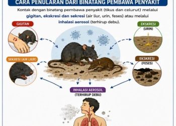 Kemenkes Tingkatkan Kewaspadaan Terhadap Hantavirus di Indonesia