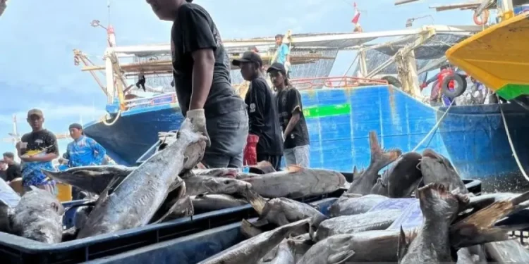Ratifikasi ILO 188: Langkah Baru dalam Perlindungan Pekerja Perikanan Indonesia