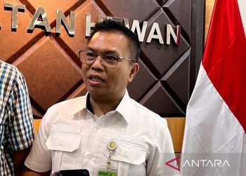 Pasokan Cabai Rawit Nasional Stabil, Harga Mulai Turun
