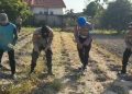 Program Polisi Cinta Petani di Pekanbaru Dukung Ketahanan Pangan