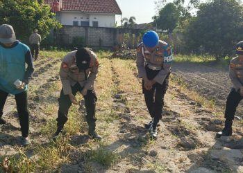 Program Polisi Cinta Petani di Pekanbaru Dukung Ketahanan Pangan
