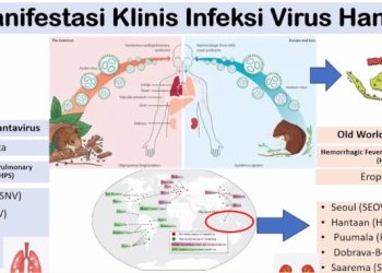 Kemenkes RI Tingkatkan Kesiapsiagaan Hadapi Ancaman Hantavirus