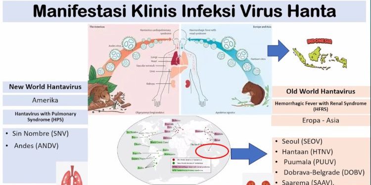 Kemenkes RI Tingkatkan Kesiapsiagaan Hadapi Ancaman Hantavirus