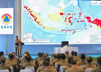 BNPB Dorong Peningkatan Kapasitas Penanggulangan Bencana di Daerah