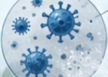Indonesia Belum Temukan Kasus Hantavirus Jenis HPS