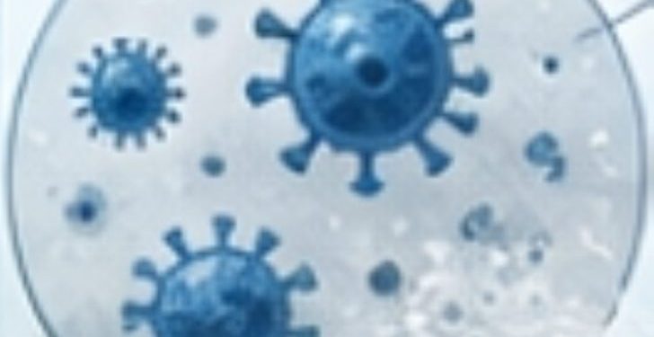 Indonesia Belum Temukan Kasus Hantavirus Jenis HPS