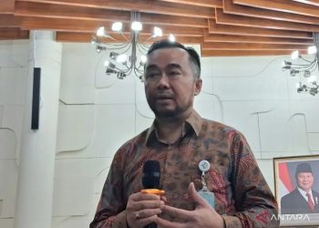 Kemenkes Tingkatkan Pengawasan Penerbangan dari Amerika Selatan Cegah Hantavirus