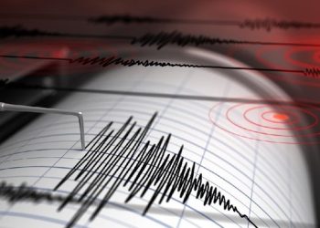 Gempa Magnitudo 3,8 Guncang Tuapejat, Sumatera Barat