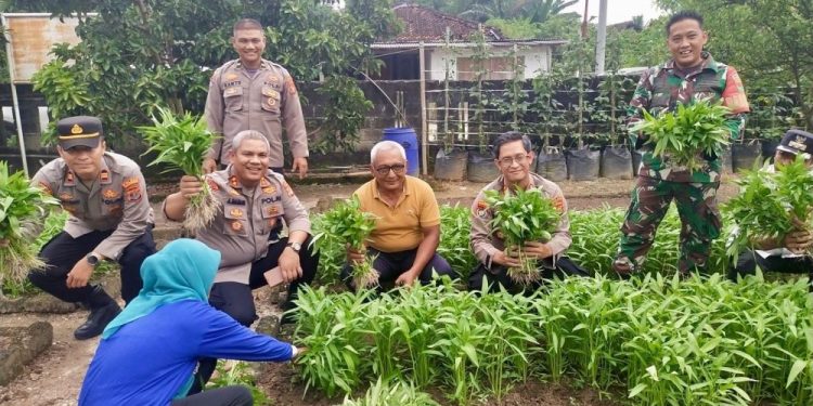 Polda Lampung Dukung Program Pekarangan Pangan Bergizi di Terbanggi Besar