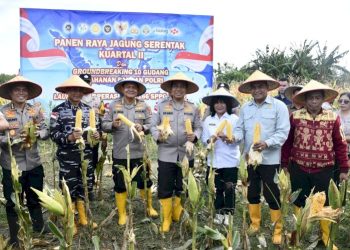 Kapolda NTT Memimpin Panen Raya Jagung 2026 untuk Ketahanan Pangan Daerah