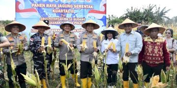 Kapolda NTT Memimpin Panen Raya Jagung 2026 untuk Ketahanan Pangan Daerah