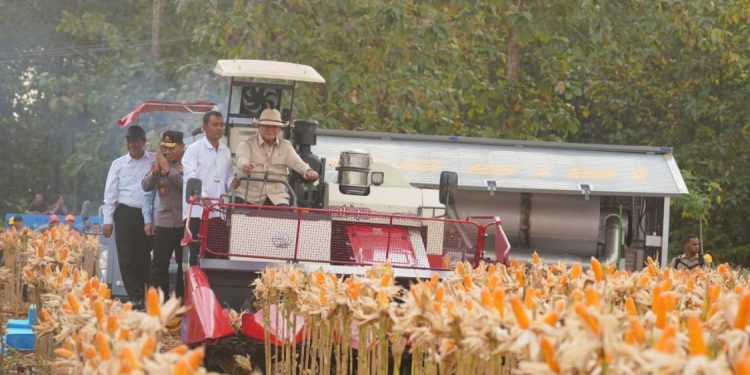 Kapolri Paparkan Capaian Panen Jagung di Hadapan Presiden Prabowo