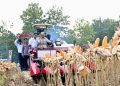 Presiden Prabowo Ikut Panen Jagung di Tuban untuk Perkuat Ketahanan Pangan