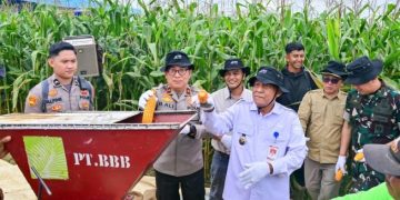 Polda Jambi Laksanakan Panen Raya Jagung Serentak untuk Ketahanan Pangan Nasional
