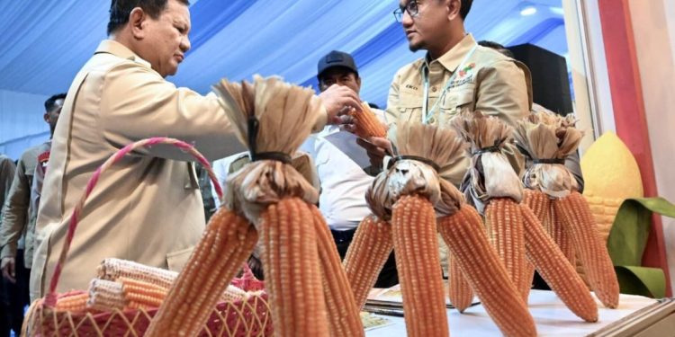Presiden Prabowo Hadiri Panen Raya Jagung di Tuban, Petani Sambut Optimisme Swasembada Pangan