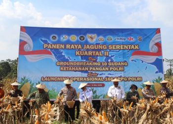 Pemprov Sulawesi Tenggara Puji Panen Raya Jagung oleh Polda Sultra