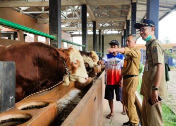 Kenaikan Harga Hewan Kurban di Temanggung Menjelang Iduladha