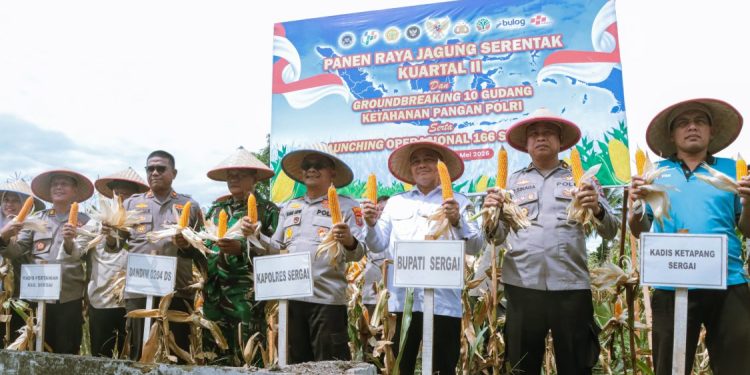 Pemkab Sergai dan Polres Ambil Bagian dalam Panen Raya Jagung Nasional