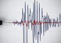 Gempa Magnitudo 3,4 Guncang Membramo Tengah, Papua