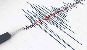 Gempa Magnitudo 4,2 Guncang Wilayah Pegunungan Bintang, Papua
