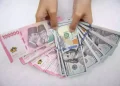 Dampak Pelemahan Rupiah Terhadap Kelas Menengah di Indonesia