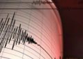 Gempa Magnitudo 3.1 Guncang Sumbawa Barat, NTB