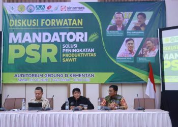 Program PSR Diharapkan Tingkatkan Produktivitas Sawit Nasional