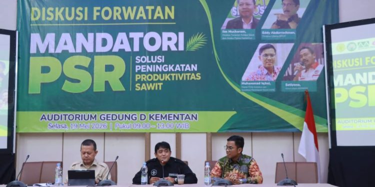 Program PSR Diharapkan Tingkatkan Produktivitas Sawit Nasional
