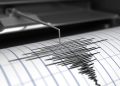 Gempa Magnitudo 3,7 Mengguncang Maluku Barat Daya